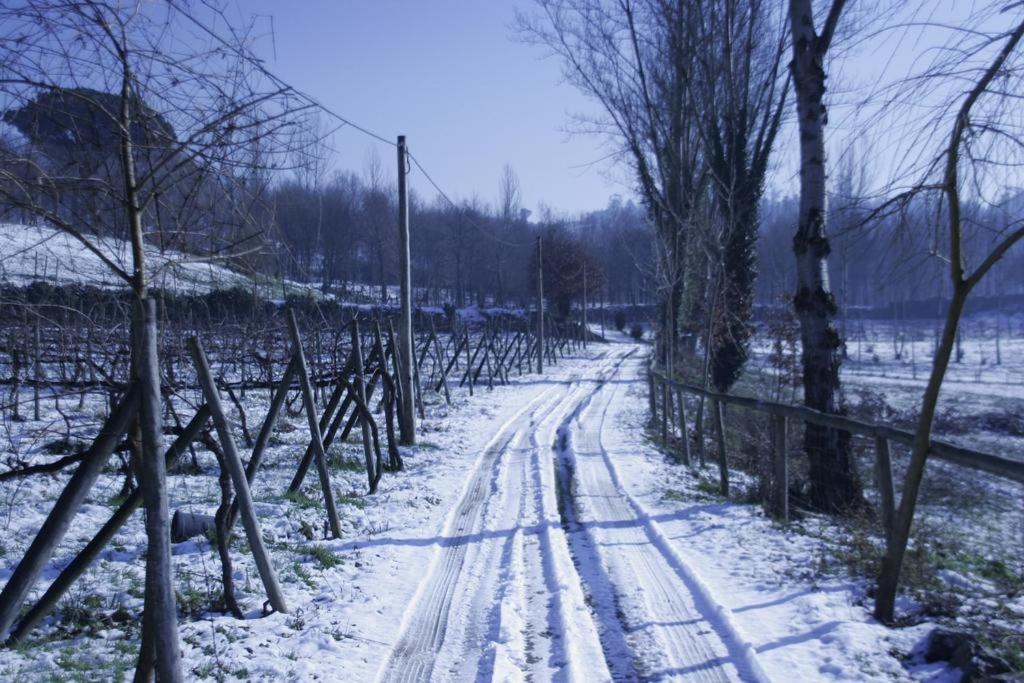 Quinta Do Mosteiro Βίλα Felgueiras Εξωτερικό φωτογραφία